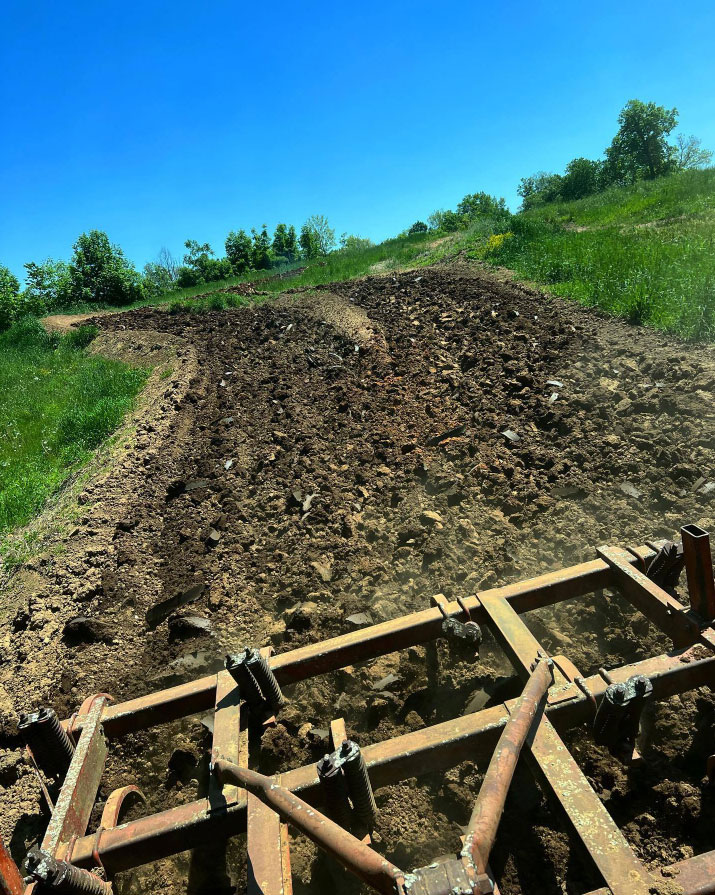 Valentini MX Track Results